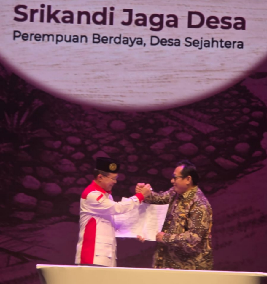 program (16)